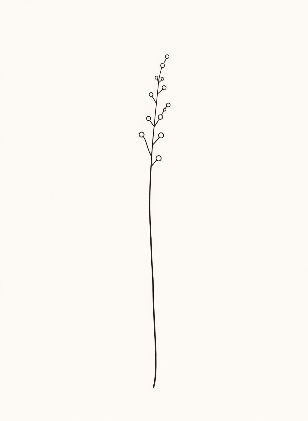 Fine line botanical illustration